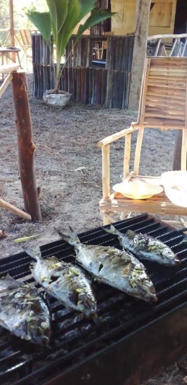 Mida Creek Nature Camp 와타무 외부 사진