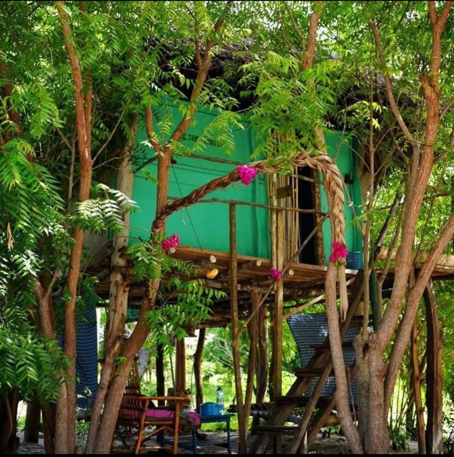 Mida Creek Nature Camp 와타무 외부 사진