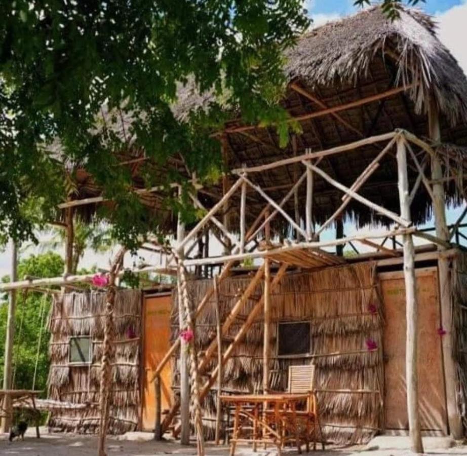 Mida Creek Nature Camp 와타무 외부 사진